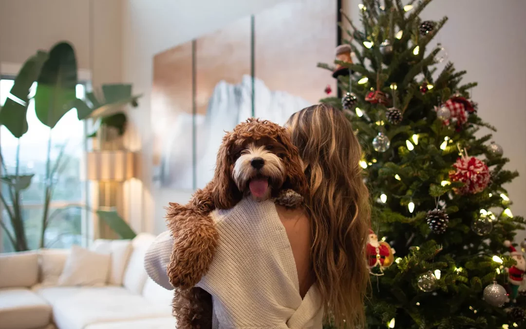 Der Weihnachtsüberlebens-Ratgeber für Beziehungen